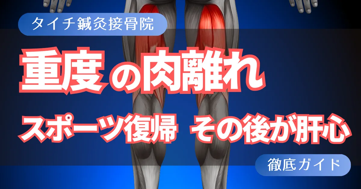 重度肉離れからのスポーツ復帰は「その後」が肝心！熊本のタイチ鍼灸接骨院ができること