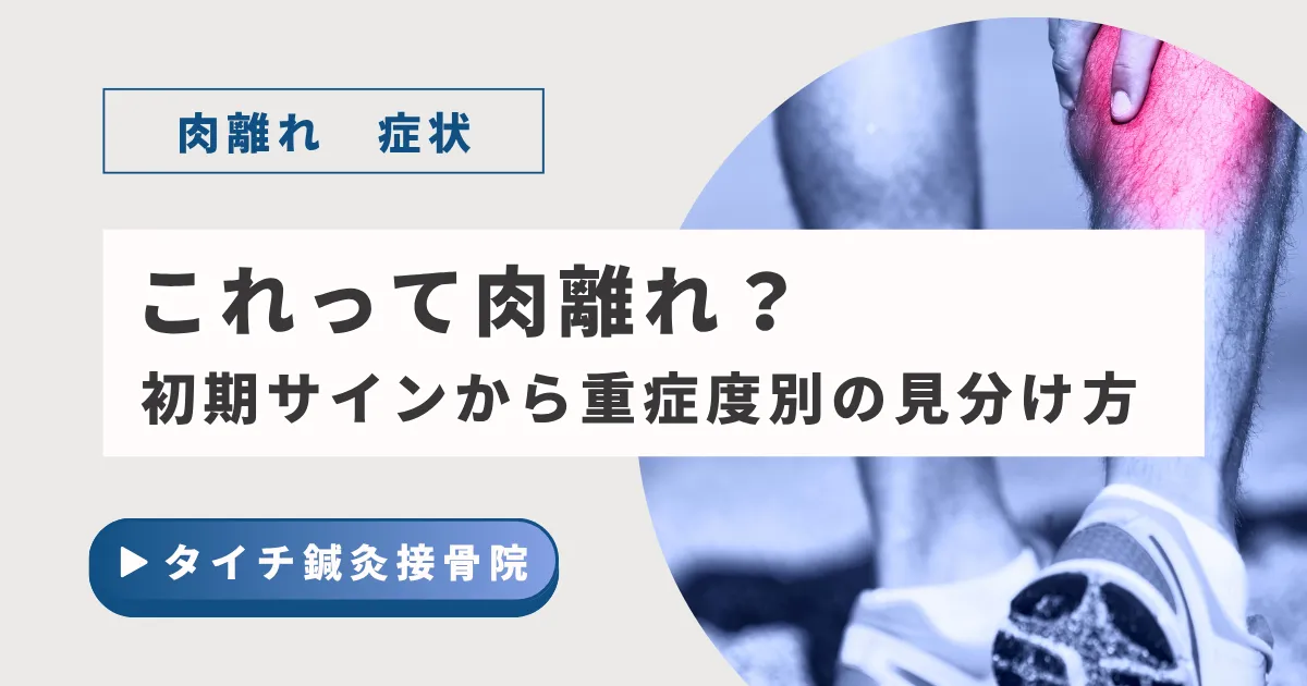 【肉離れ 症状】これって肉離れ？初期サインから重症度別の見分け方まで徹底解説｜熊本タイチ鍼灸接骨院