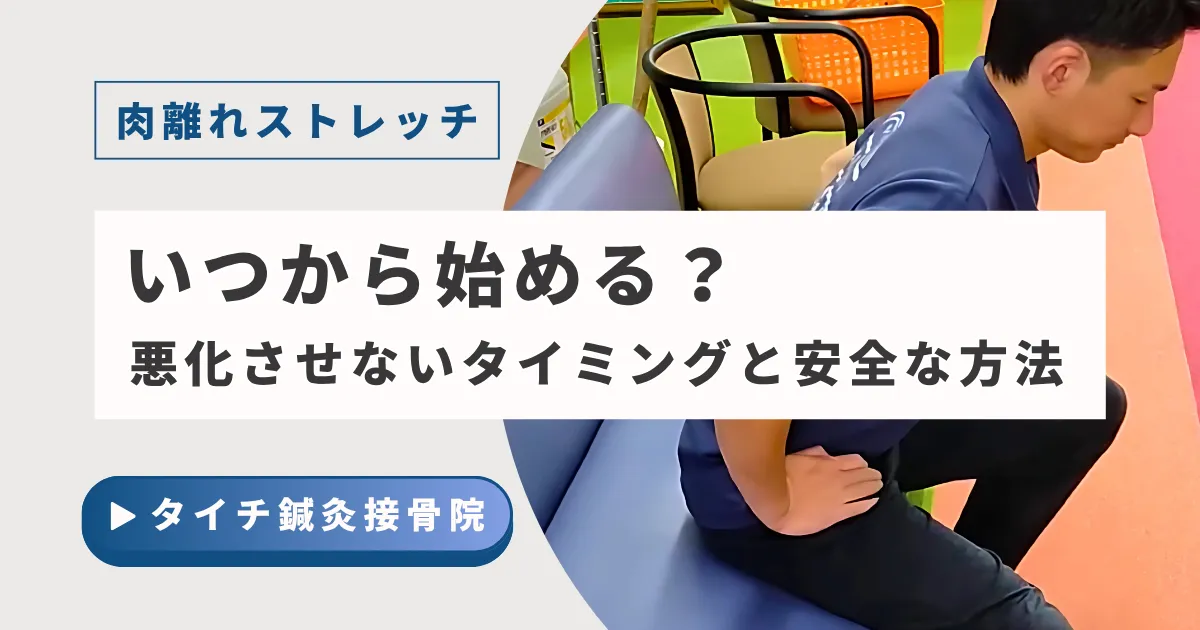 【肉離れ ストレッチ】いつから始める？悪化させない正しいタイミングと安全な方法｜熊本タイチ鍼灸接骨院